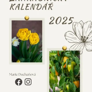 Obrázek produktu