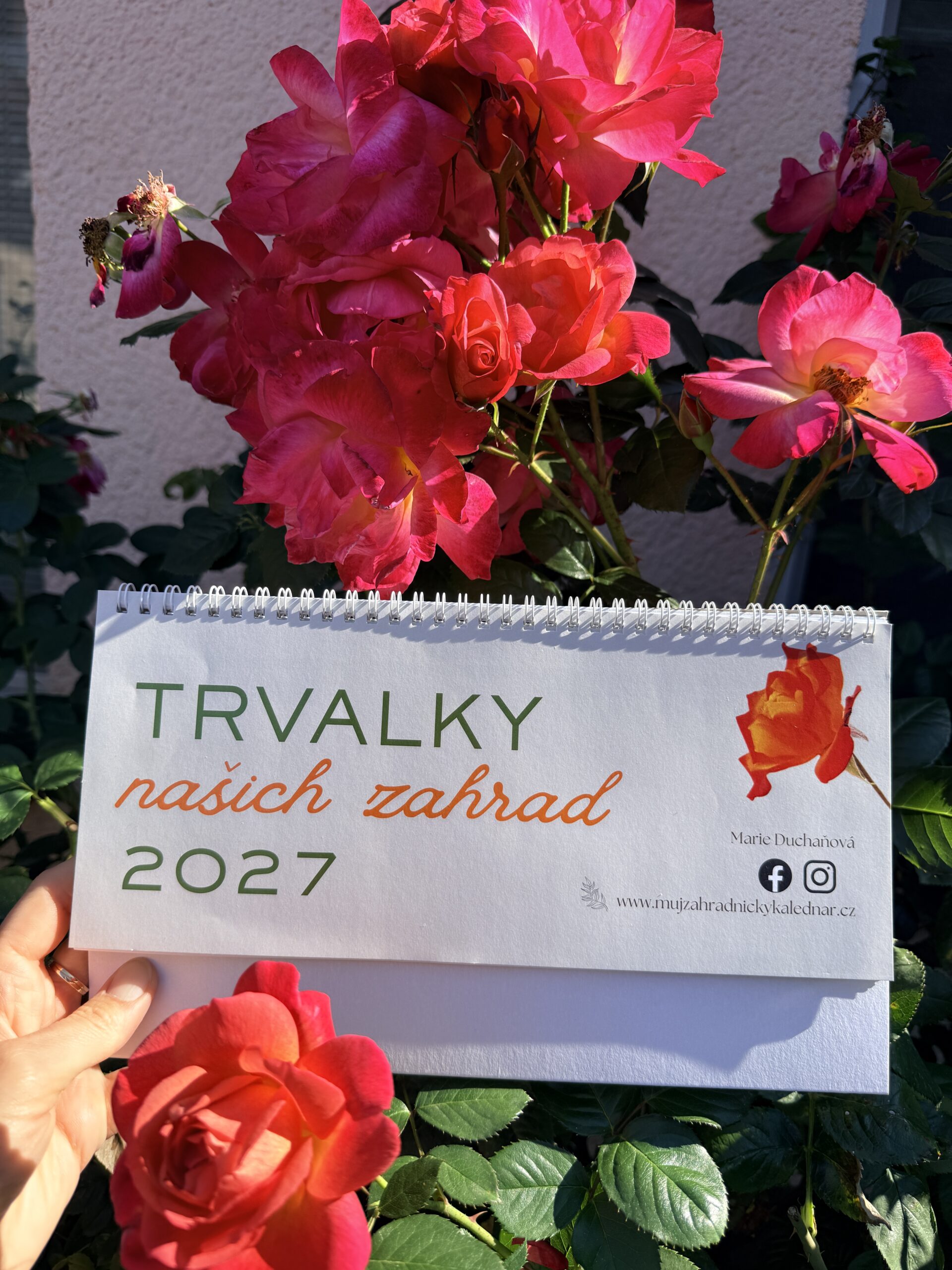 Trvalky našich zahrad 2027